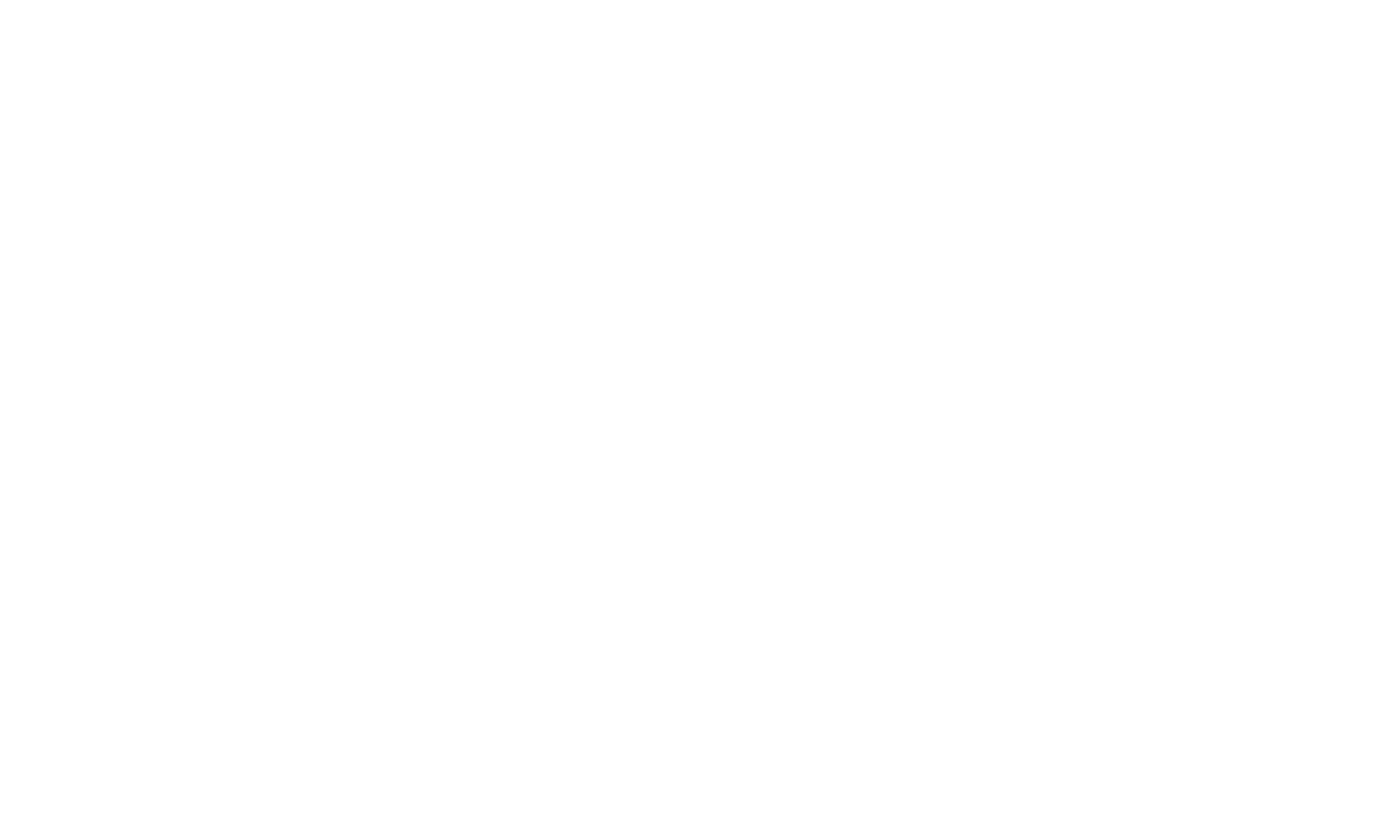 dnz-logo-br.png